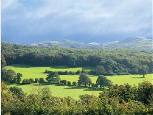The Druid Inn Llanferres 외부 사진